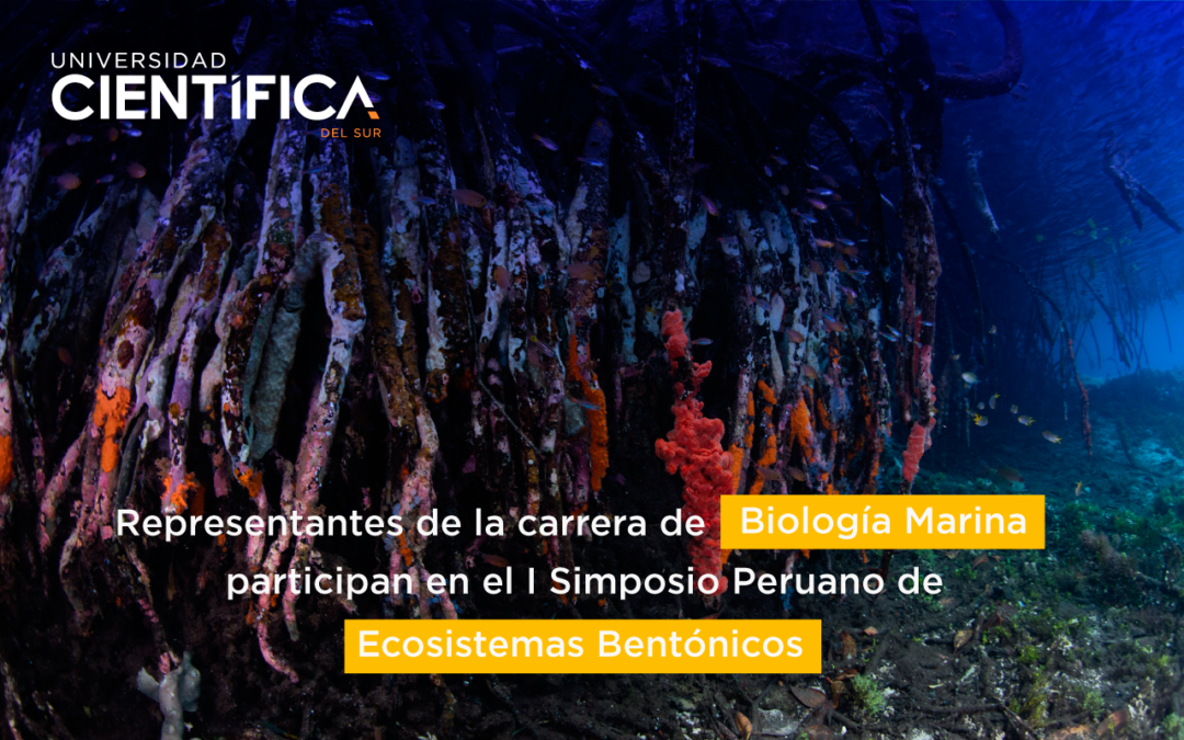 Representantes de la carrera de Biología Marina participan en el I Simposio Peruano de Ecosistemas Bentónicos